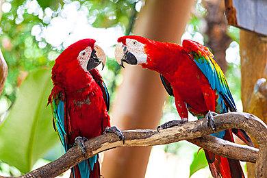 曝《现代战争3》开发时间仅18个月 是之前的一半